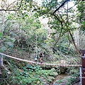 台中太平登山步道 太平蝙蝠洞 百蝙吊橋 太平半日遊 台中大坑步道   週末踏青趣   休閒級登山步道   太平半日遊 台中景點   太平蝙蝠洞 百蝙吊橋 蝙蝠洞登山步道 護國清涼寺  1DSC02394.JPG