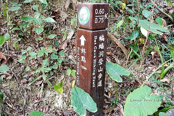 台中太平登山步道 太平蝙蝠洞 百蝙吊橋 太平半日遊 台中大坑步道   週末踏青趣   休閒級登山步道   太平半日遊 台中景點   太平蝙蝠洞 百蝙吊橋 蝙蝠洞登山步道 護國清涼寺  1DSC02396.JPG