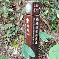 台中太平登山步道 太平蝙蝠洞 百蝙吊橋 太平半日遊 台中大坑步道   週末踏青趣   休閒級登山步道   太平半日遊 台中景點   太平蝙蝠洞 百蝙吊橋 蝙蝠洞登山步道 護國清涼寺  1DSC02396.JPG