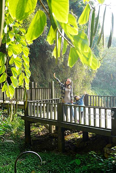 週末踏青趣|太平休閒級登山步道，走吊橋、踏青登山、拜訪莊嚴佛