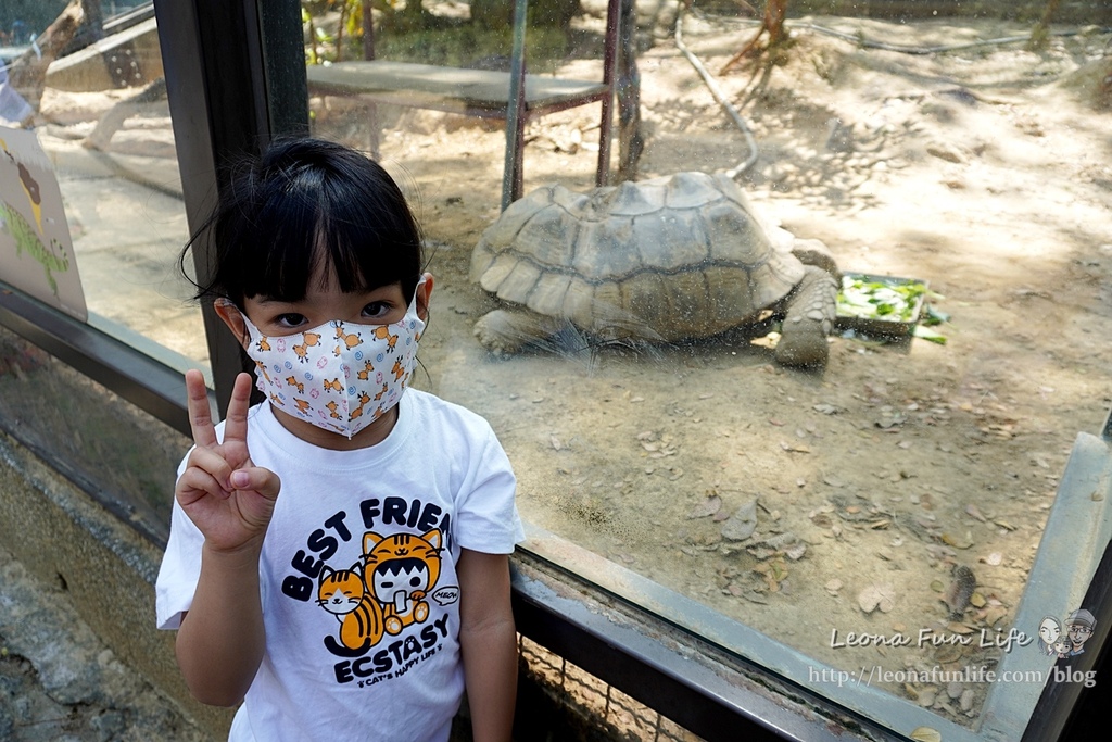 高雄親子景點2021 高雄親子遊樂園 高雄親子公園 壽山動物園門票 壽山動物園交通  壽山動物園門票免費 壽山動物園附近美食 壽山動物園附近景點 壽山動物園免費 1DSC05595.JPG