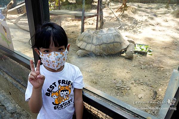 高雄親子景點2021 高雄親子遊樂園 高雄親子公園 壽山動物園門票 壽山動物園交通  壽山動物園門票免費 壽山動物園附近美食 壽山動物園附近景點 壽山動物園免費 1DSC05595.JPG