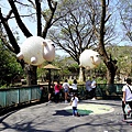 高雄親子景點2021 高雄親子遊樂園 高雄親子公園 壽山動物園門票 壽山動物園交通  壽山動物園門票免費 壽山動物園附近美食 壽山動物園附近景點 壽山動物園免費 1DSC05615.JPG