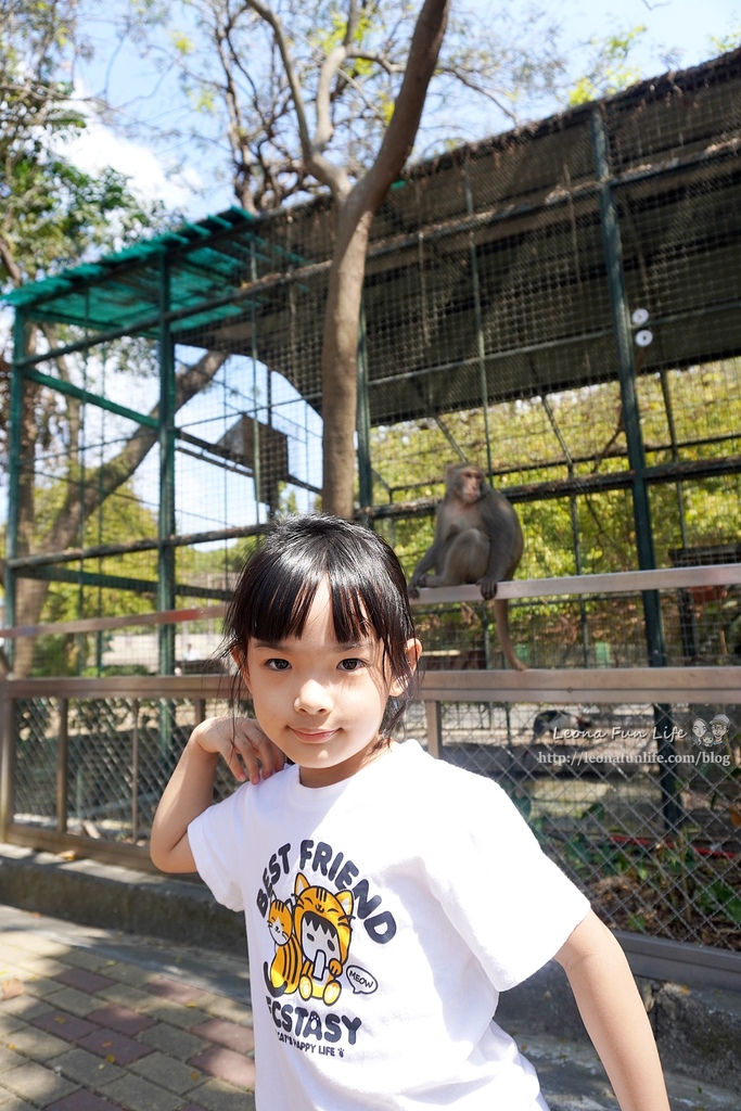 高雄親子景點2021 高雄親子遊樂園 高雄親子公園 壽山動物園門票 壽山動物園交通  壽山動物園門票免費 壽山動物園附近美食 壽山動物園附近景點 壽山動物園免費 1DSC05637.JPG