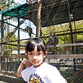 高雄親子景點2021 高雄親子遊樂園 高雄親子公園 壽山動物園門票 壽山動物園交通  壽山動物園門票免費 壽山動物園附近美食 壽山動物園附近景點 壽山動物園免費 1DSC05637.JPG