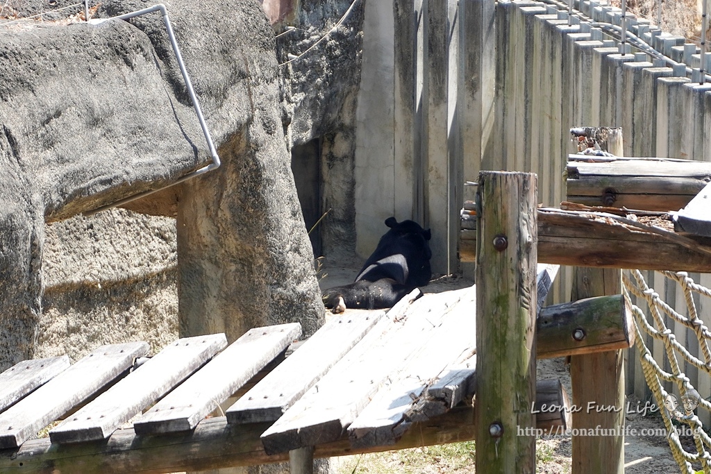 高雄親子景點2021 高雄親子遊樂園 高雄親子公園 壽山動物園門票 壽山動物園交通  壽山動物園門票免費 壽山動物園附近美食 壽山動物園附近景點 壽山動物園免費 1DSC05644.JPG