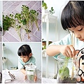 親子DIY體驗原生態工作室-植物生態瓶材料包手作DIY，免準備、零失誤，輕鬆打造療癒微景室內植栽擺件page.jpg