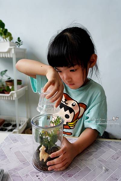 親子DIY體驗原生態工作室-植物生態瓶材料包手作DIY，免準備、零失誤，輕鬆打造療癒微景室內植栽擺件DSC02051.jpg