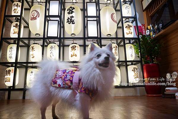 容燒居酒屋崇德加盟店 和可愛狗狗一起吃串燒 喝啤酒 享受日式美味料理 寵物餐 寵物友善餐廳 台中北區 Leona Fun 容燒居酒屋崇德加盟店 和可愛狗狗一起吃串燒 喝啤酒 享受日式美味料理 寵物餐 寵物友善餐廳 台中北區 Leona Fun