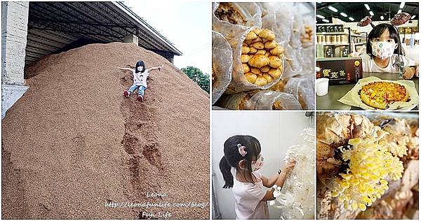 豐年靈芝菇類生態農場南投埔里親子景點推薦，走進菇菇樂園DIY菇菇披薩、採菇、踏青、爬木屑山page0.jpg