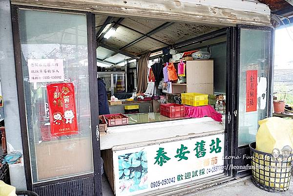 泰安舊站草莓園賞櫻趴落羽松也能順道體驗採草莓、黃金小番茄泰安派出所正對面 台中親子遊行程DSC073001.JPG