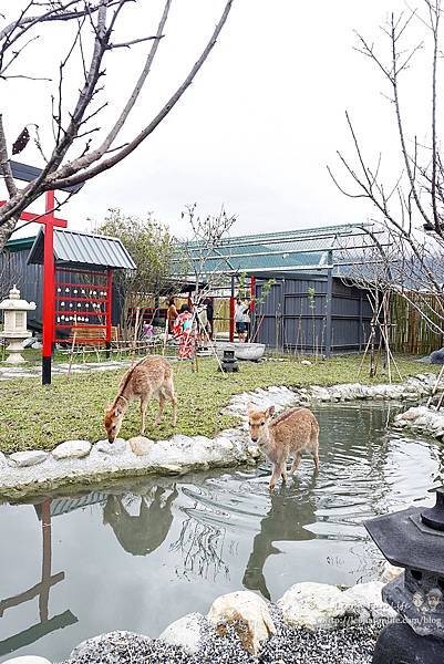 花蓮親子景點張家的樹園餵浣熊梅花鹿小白兔，門票可抵$100消費，日式庭園搭配免費和服體驗好好拍DSC04215-21.jpg