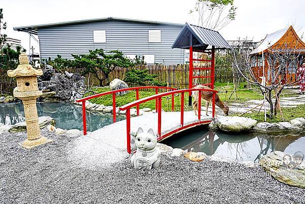 花蓮親子景點張家的樹園餵浣熊梅花鹿小白兔，門票可抵$100消費，日式庭園搭配免費和服體驗好好拍DSC04233-21.jpg