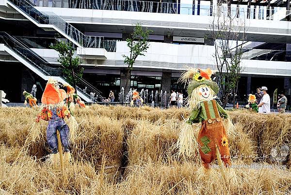 大里藝術廣場打造稻草人迷宮DSC00911.JPG