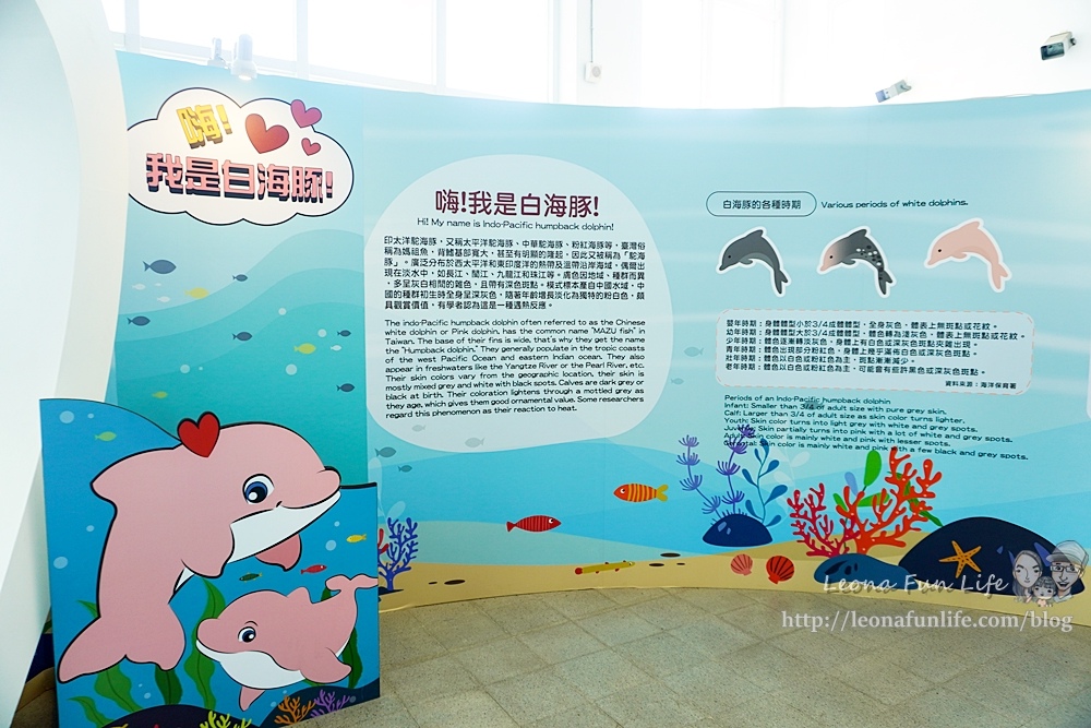 彰化免費親子景點海豚屋自然生態教中心 擁抱海洋與海對話DSC09250-2.jpg