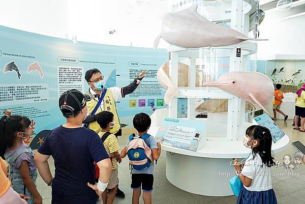 彰化免費親子景點海豚屋自然生態教中心 擁抱海洋與海對話DSC09391-2.jpg