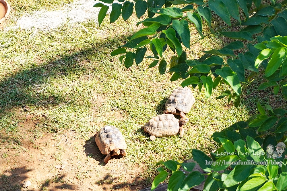 新竹關西六福莊生態渡假旅館 新竹住宿推薦 LeonaDSC02156-2.jpg