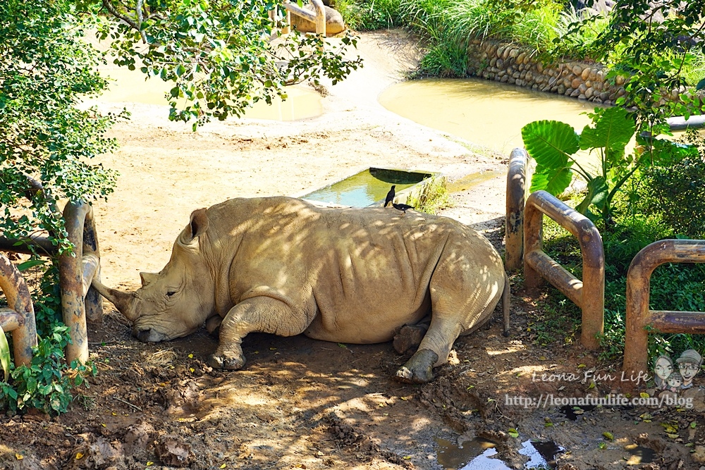 新竹關西六福莊生態渡假旅館 新竹住宿推薦 LeonaDSC02144-2.jpg