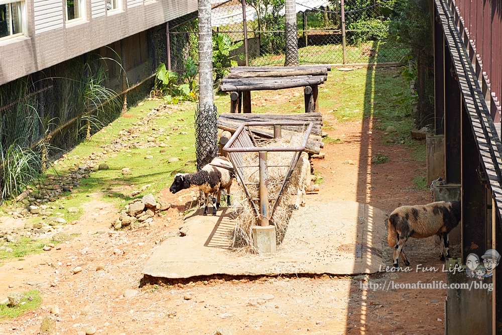 新竹關西六福莊生態渡假旅館 新竹住宿推薦 LeonaDSC02221-2.jpg