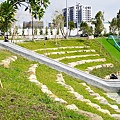 台中太平新親子景點-公5環保公園(馬卡龍公園)DSC05750.JPG