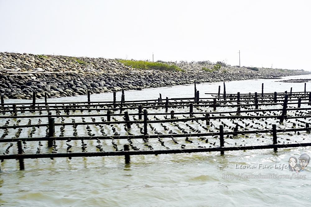 台南七股美食旅遊懶人包搭船遊潟湖烤蚵吃到飽DSC08674-2.jpg