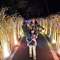 2023埔里森林逐燈祭攻略南投活動DSC04344-2_副本.jpg