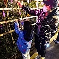 2023埔里森林逐燈祭攻略南投活動DSC04406-2.jpg