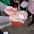 2023埔里森林逐燈祭攻略南投活動DSC04105.JPG