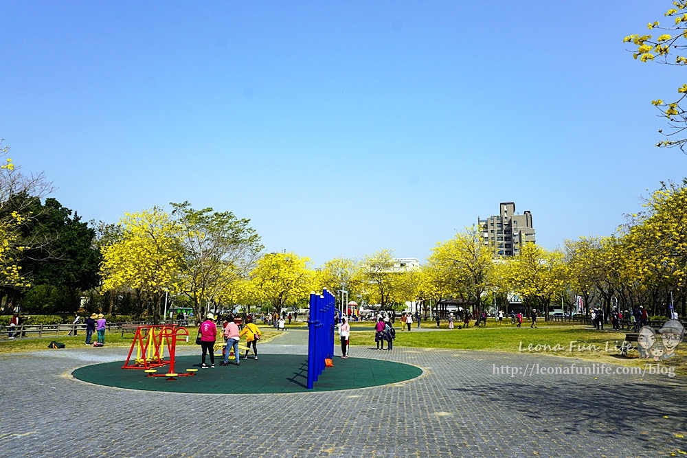 台中賞花坪林公園黃花風鈴木DSC07063-2.jpg