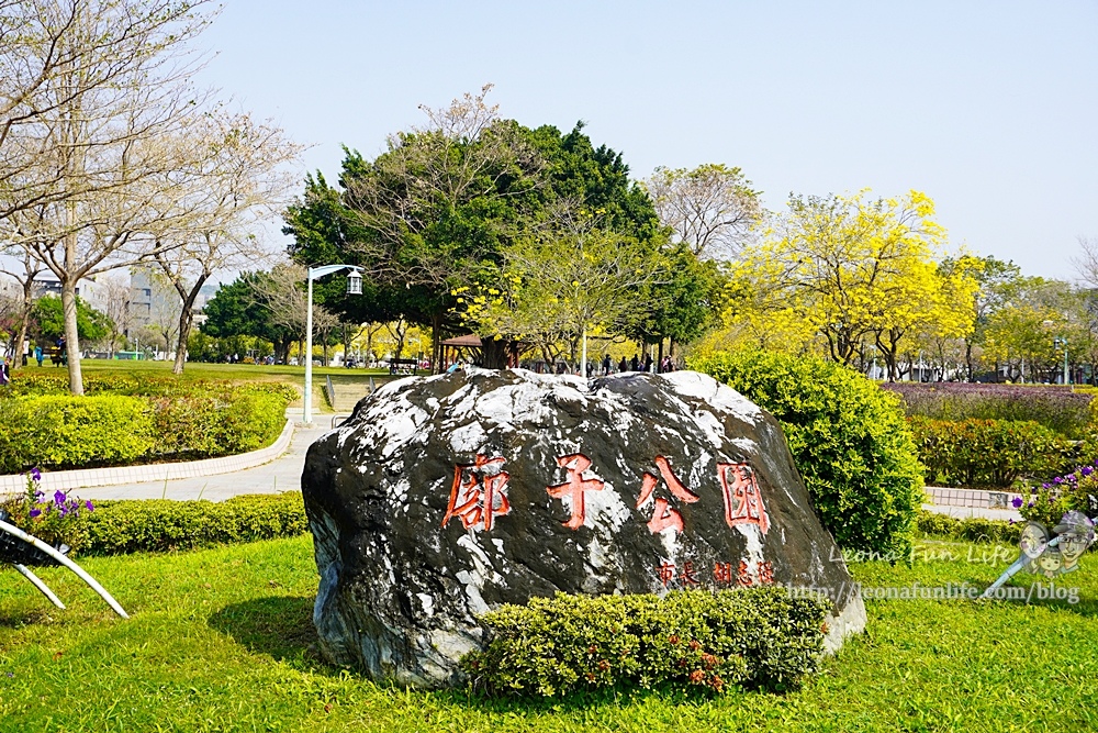 台中賞花坪林公園黃花風鈴木DSC07076-2.jpg