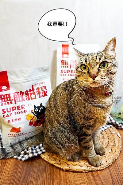 貓咪飼料推薦無敵貓糧DSC09399-31.jpg