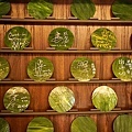 台中精誠壹山海鮮燒肉專門店老宅燒肉店DSC00656-2.jpg