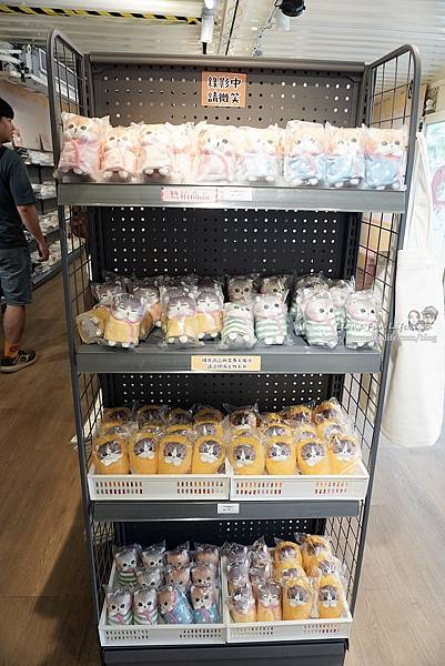 貓福珊迪MOFUSAND主題輕食快閃店DSC07246.JPG