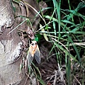 DSC06226.JPG