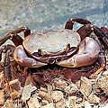 DSC06243.JPG