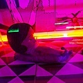 台中暑期活動伊藤潤二塊閃店DSC08991-2.jpg
