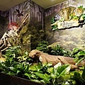 新北三峽大板根恐龍森林饗宴新菜上市DSC08492-2.jpg