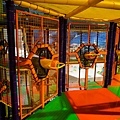 DSC07523-2.jpg