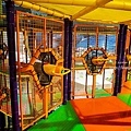 2023苗栗親子室內景點世界遊玩套票DSC07523-2.jpg