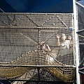 2023苗栗親子室內景點世界遊玩套票DSC07527-2.jpg
