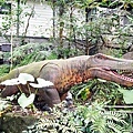 新北住宿大板根森林度假酒店恐龍寵物親子房DSC08641-2.jpg