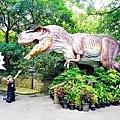 新北住宿大板根森林度假酒店恐龍寵物親子房DSC08632-2.jpg