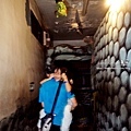 彰化室內景點南天宮十八層地獄DSC01964-2.jpg