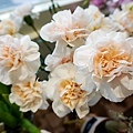 台中新店美術館商圈JimSu 花藝咖啡廳DSC01739-2.jpg