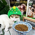 貓咪飼料推薦NH+擁恆寵糧 環保替代蛋白DSC03170-2.jpg