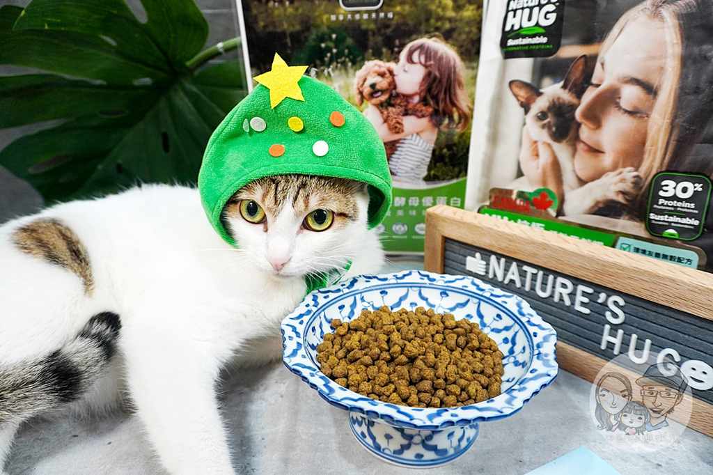 貓咪飼料推薦NH+擁恆寵糧 環保替代蛋白DSC03169-2.jpg 貓咪飼料推薦NH+擁恆寵糧 環保替代蛋白DSC03169-2.jpg