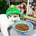 貓咪飼料推薦NH+擁恆寵糧 環保替代蛋白DSC03169-2.jpg