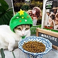 貓咪飼料推薦NH+擁恆寵糧 環保替代蛋白DSC03171-2.jpg