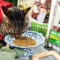 貓咪飼料推薦NH+擁恆寵糧 環保替代蛋白DSC03178-2.jpg