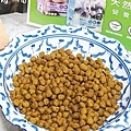 貓咪飼料推薦NH+擁恆寵糧 環保替代蛋白DSC03154-21.jpg